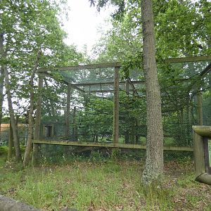 Spider monkey enclosure