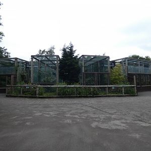 View of caged gibbon enclosures