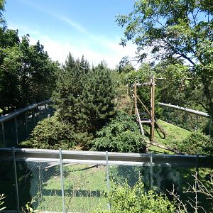 Woolly monkey enclosure