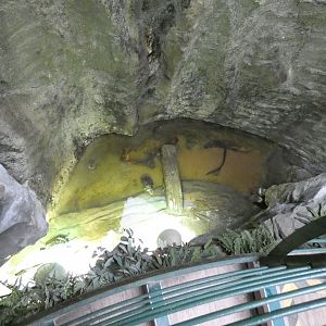 Turtle enclosure