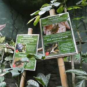 Turtle signage