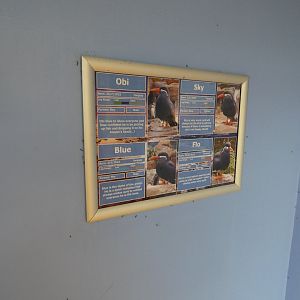 Inca tern ID Signage