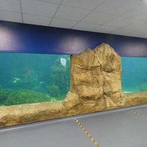 Underwater penguin viewing area