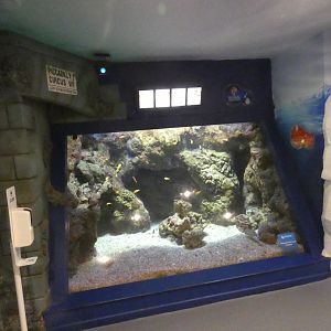 Global meltdown exhibit