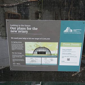 Future plans for aviary