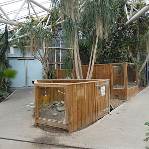 Desert Zone (Plantasia Swansea)