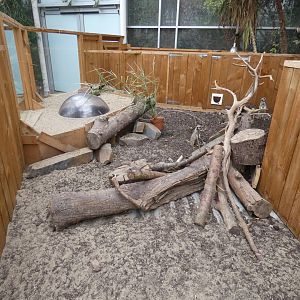 Meerkat enclosure (Plantasia Swansea)