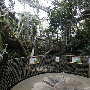 View across greenhouse (Plantasia Swansea)