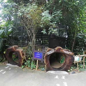Leaf-cutter ant enclosure (Plantasia Swansea)