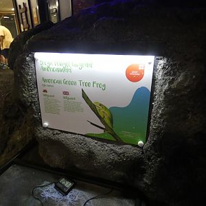 Signage example (Plantasia Swansea)