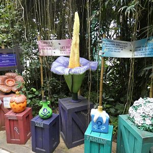 Plant display (Plantasia Swansea)