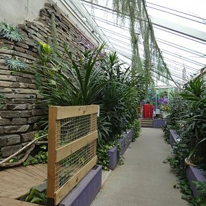 Killer Plants exhibit (Plantasia Swansea)