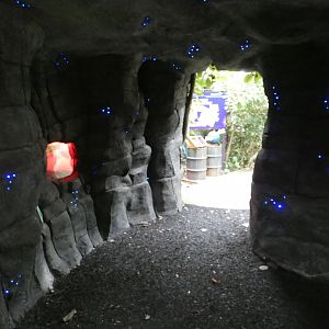 Cave exhibit (Plantasia Swansea)