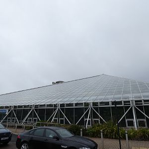 View of building (Plantasia Swansea)