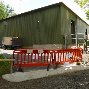 Rothschild's giraffe enclosure, July 2021