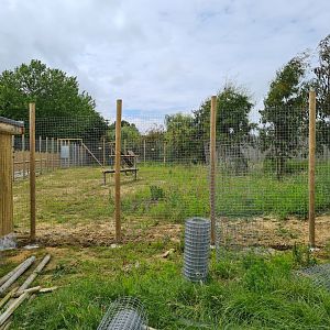 Cheetah Exhibit extension