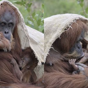 Emma & her baby 5th July 2021