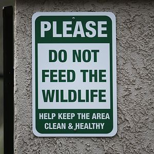 sign some of my neighbors ignore