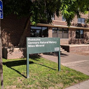 Museum Front Entrance