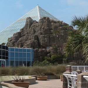 Rainforest - Exterior