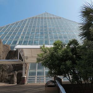 Rainforest - Exterior