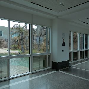 Rainforest - Giant River Otter Exhibit - View From Visitor Center
