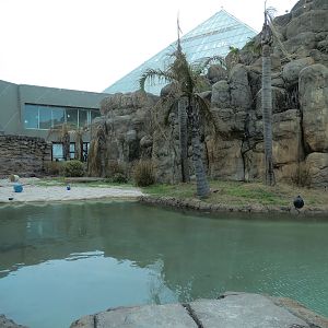 Rainforest - Giant River Otter Exhibit - View From Visitor Center