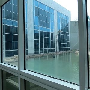 Rainforest - Giant River Otter Exhibit - View From Visitor Center