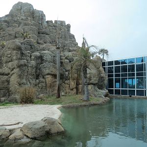 Rainforest - Giant River Otter Exhibit - View From Visitor Center