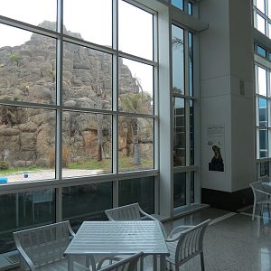 Rainforest - Giant River Otter Exhibit - View From Visitor Center