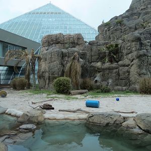 Rainforest - Giant River Otter Exhibit - View From Visitor Center