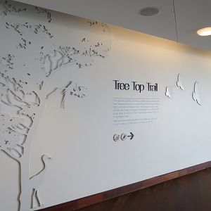 Rainforest - Tree Top Trail Entry Sign