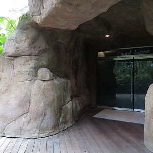 Rainforest - Cloud Forest Gallery Entrance