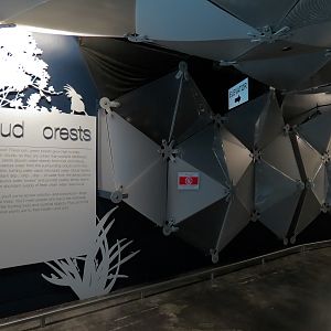 Rainforest - Cloud Forest Gallery Entrance Signage