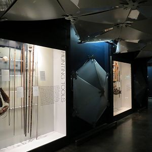 Rainforest - Cloud Forest - Hunting Display