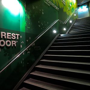 Rainforest - Stairway From Upper Level of Pyramid to Lower Level