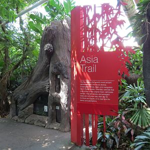 Rainforest - Asia Trail Sign