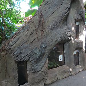 Rainforest - Four Terrariums in Simulated Trunk