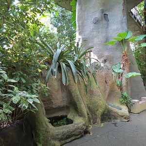 Rainforest - Two Terrariums At Base of Simulated Tree