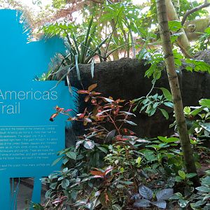 Rainforest - Americas Trail Sign