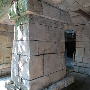 Rainforest - Mayan Temple Area