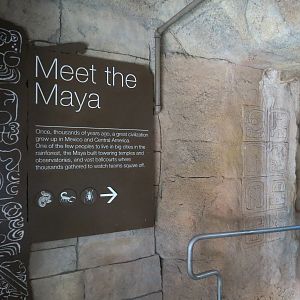 Rainforest - Mayan Temple Area - Sign