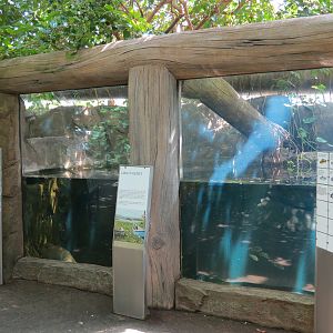 Rainforest - Two Lake Invaders (Fish) Exhibits