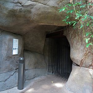 Rainforest - Main Exhibit Exit