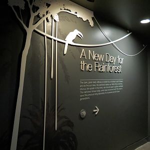 Rainforest - A New Day For The Rainforest (Final Gallery) Sign