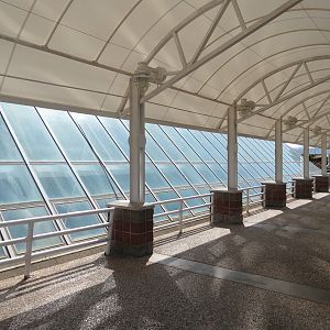 Rainforest - Exterior