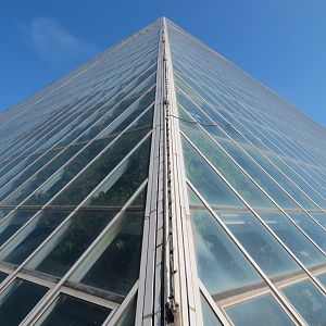 Rainforest - Exterior