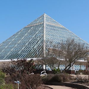 Rainforest - Exterior