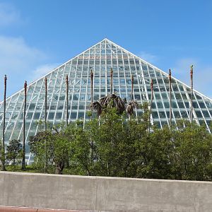 Rainforest - Exterior