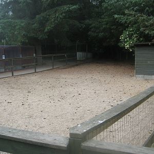 Hobro Minizoo - Alpaca exhibit